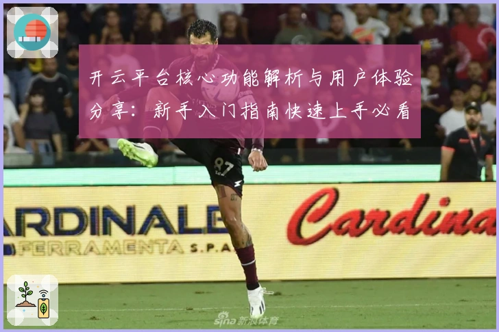开云平台核心功能解析与用户体验分享：新手入门指南快速上手必看